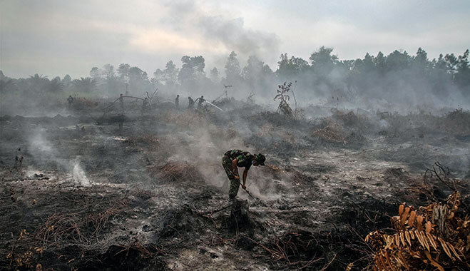 Odlesňovanie Amazonského pralesa